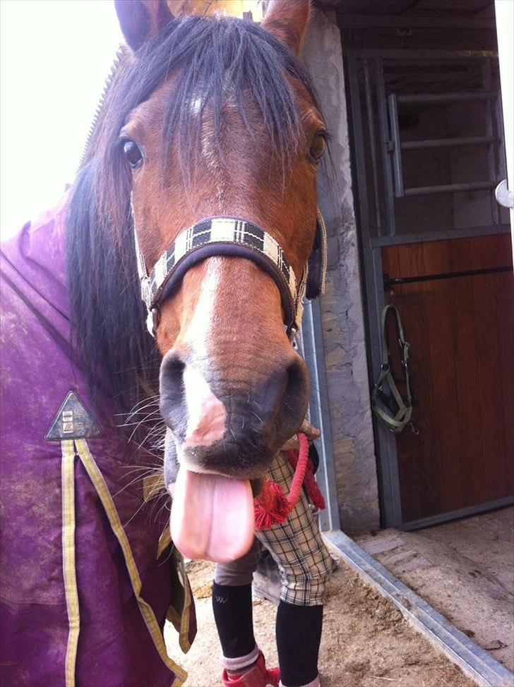 Anden særlig race lady billede 4