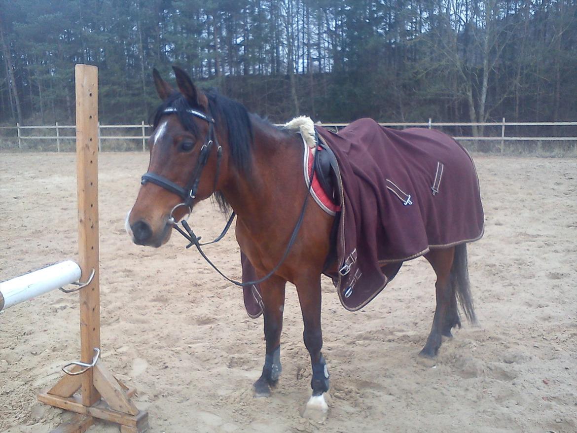 Anden særlig race lady billede 3