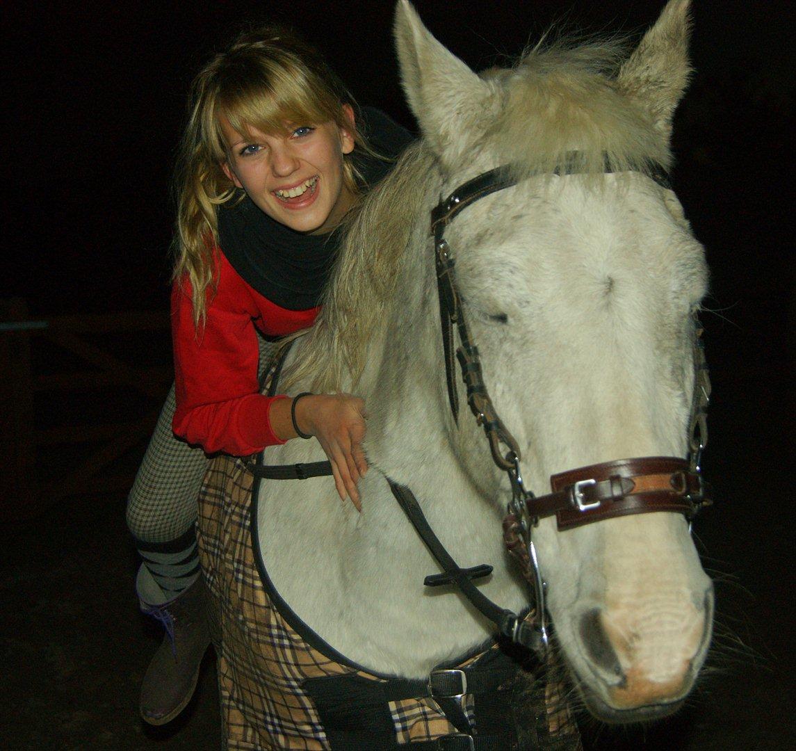 New Forest V. Stenhedens Tinni billede 8