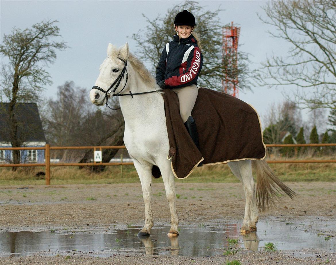 New Forest V. Stenhedens Tinni billede 10