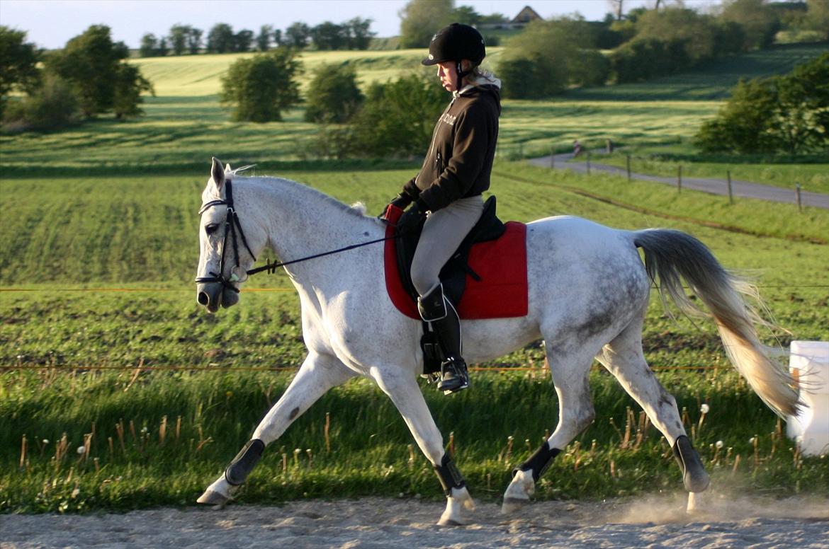 Anden særlig race Gadehøjs CariDée - Øgninger er så småt ved at være der uden taktfejl =)

FOTO: Team Gadehøj billede 9