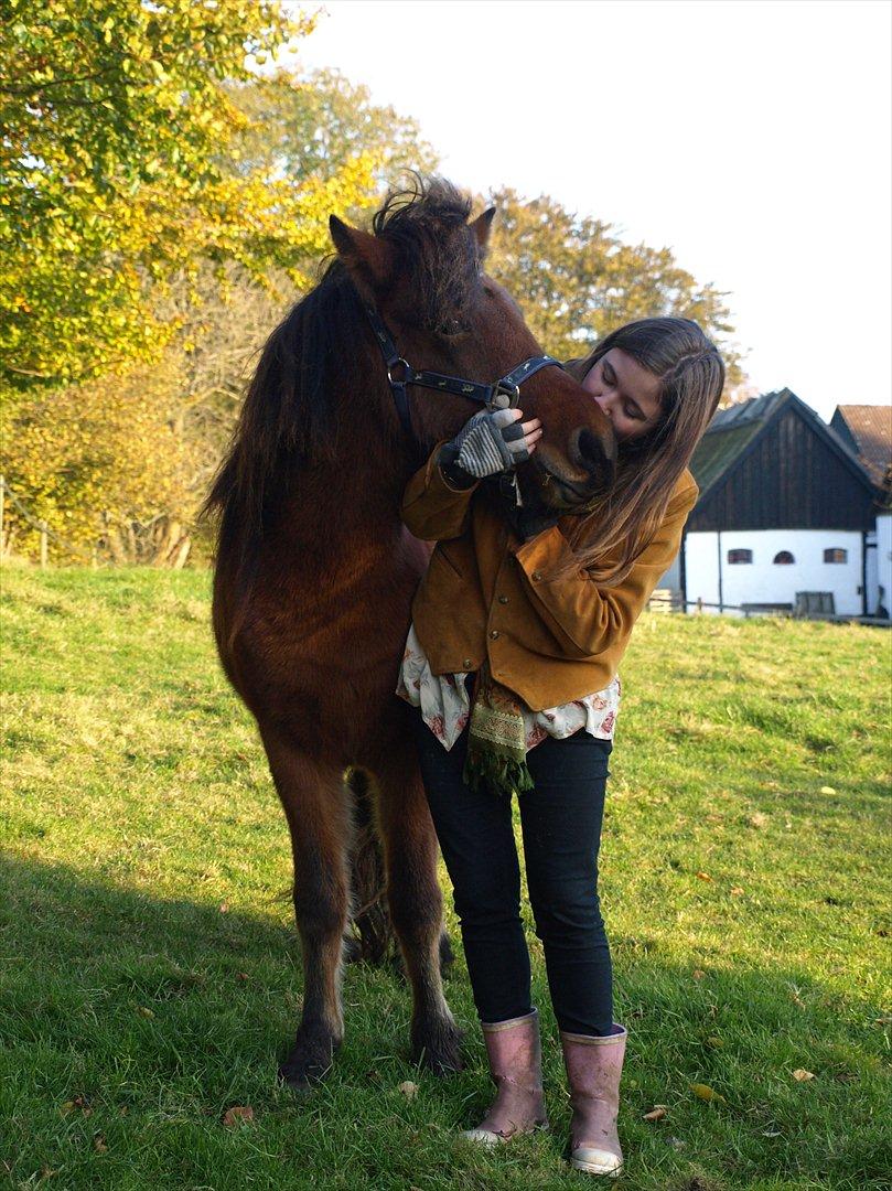 Islænder Dís fra Martinez - Dís og jeg i efterårsvejret, 2010. Foto: Mor billede 1