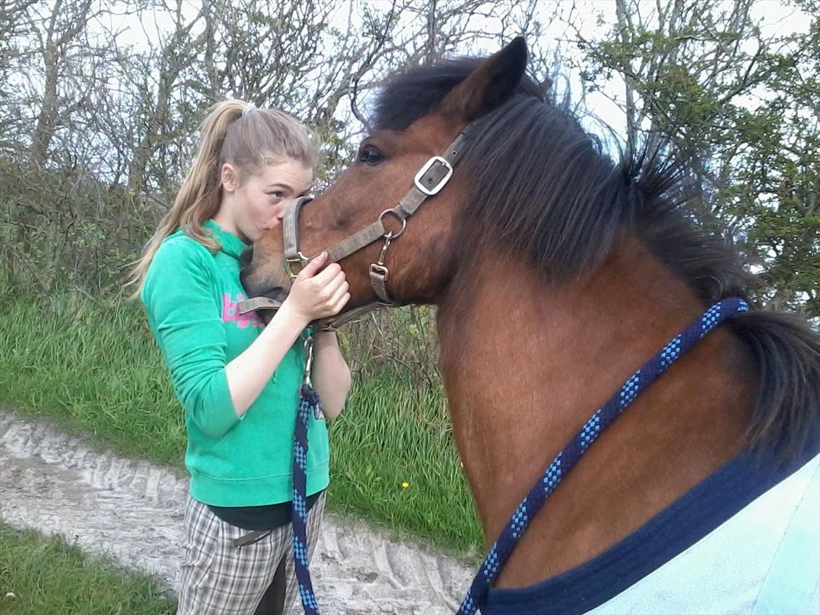 Anden særlig race Björk  - Myys:*  billede 6