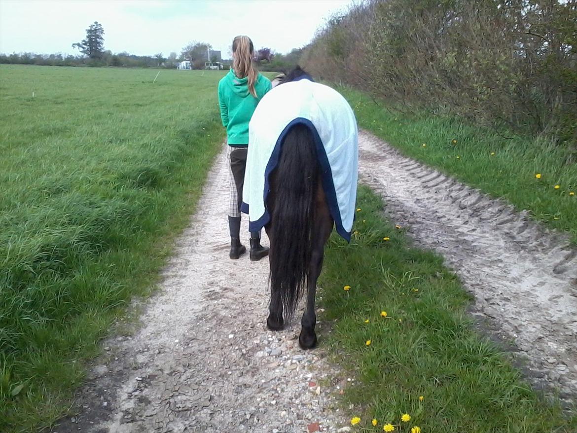 Anden særlig race Björk  - Når enden er god, er alting godt :)

Jeg elsker dig Björk<3 billede 14