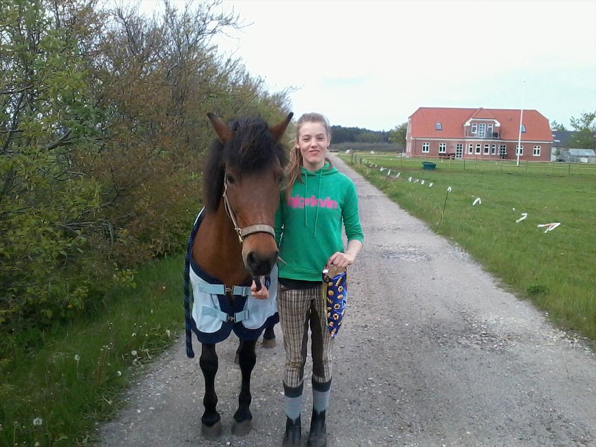 Anden særlig race Björk  - på vej ud på en lille gåtur xD billede 4