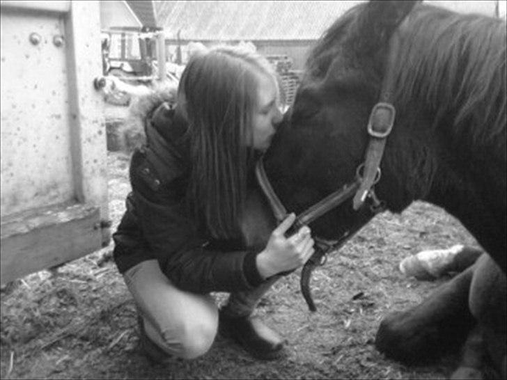 Anden særlig race Egekvist's Chili - Min dejlige pige <3 billede 4