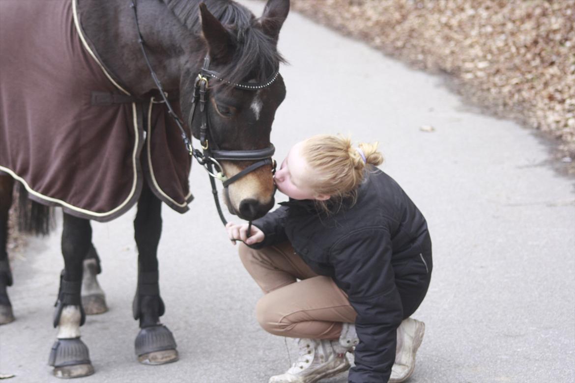 Hollandsk Sportspony Flipper<3 energibumben<3 billede 5