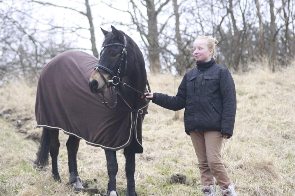 Hollandsk Sportspony Flipper<3 energibumben<3 billede 12