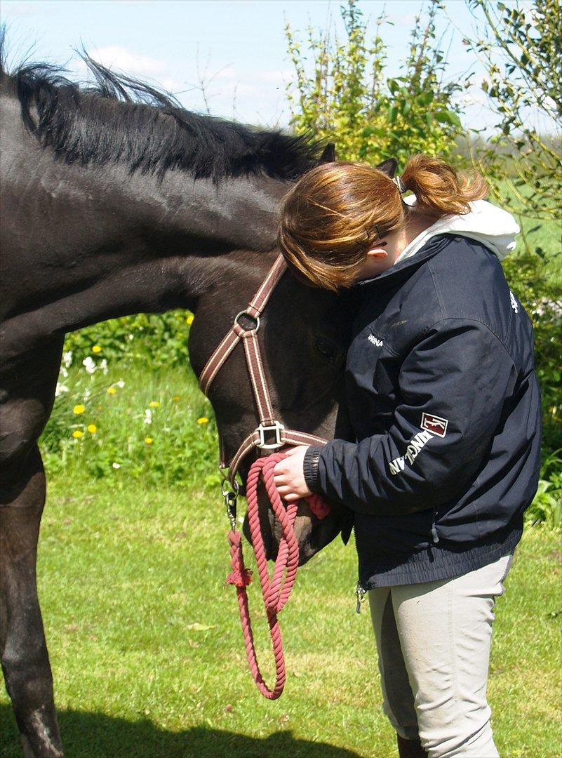 Dansk Varmblod Monique af Ommestrup - Monse og jeg, den hyggetrold <3 18. maj 12 billede 18