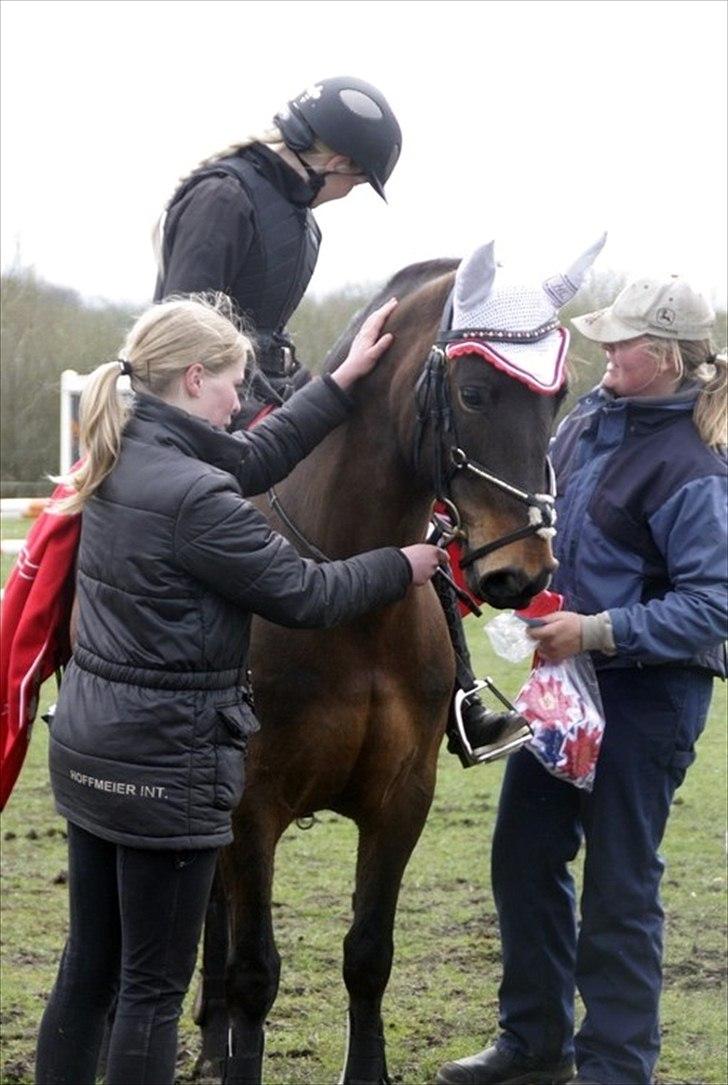 Hollandsk Sportspony JOLANDA SOLGT <3 - Dejlige jolanda til præmieoverrækkelse i ørnhøj derby
Billed: Ditte hansen billede 17
