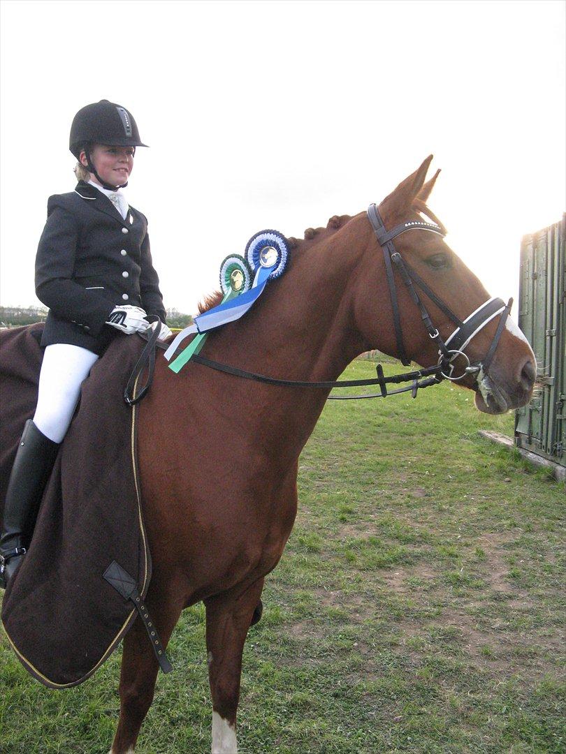 Anden særlig race Cissero - La3 67,67%
La4 68,75% 

Hedensted Rideklub D-Stævne billede 12