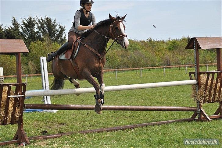 DSP La Rosa <3 - ups:-) billede 12