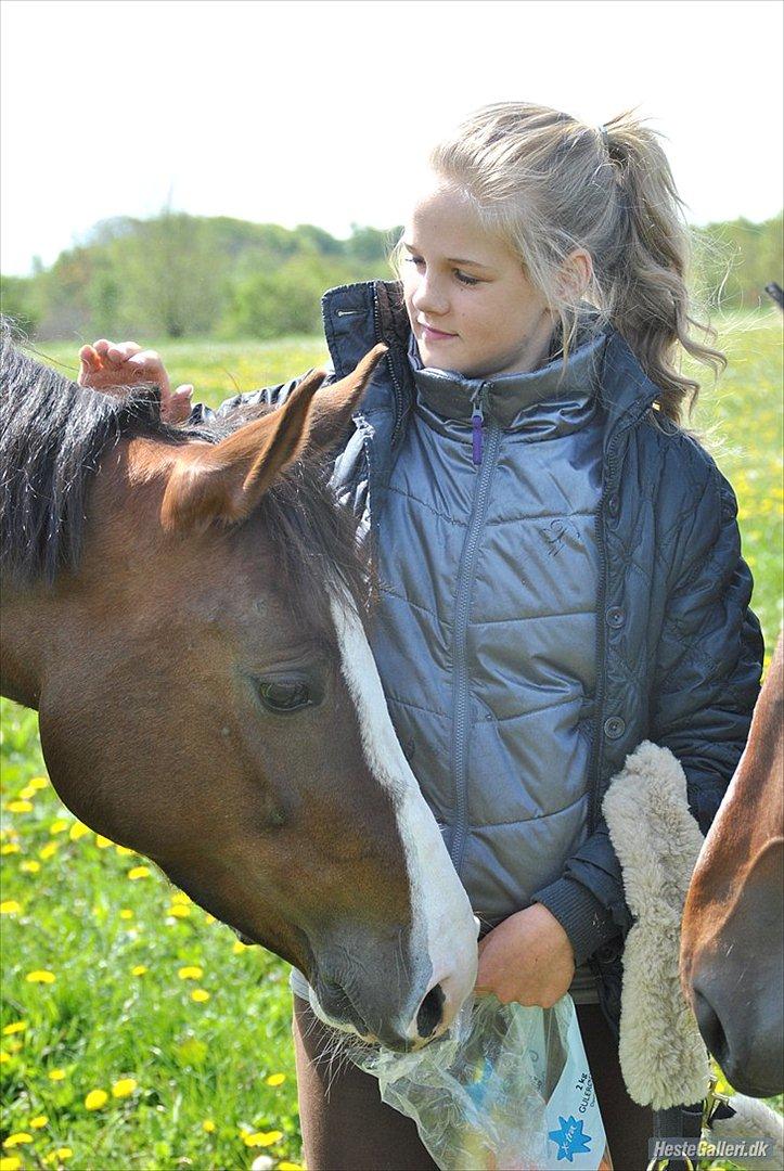 DSP La Rosa <3 - du gør mig sååå glad inden i og uden på søde<3 billede 13