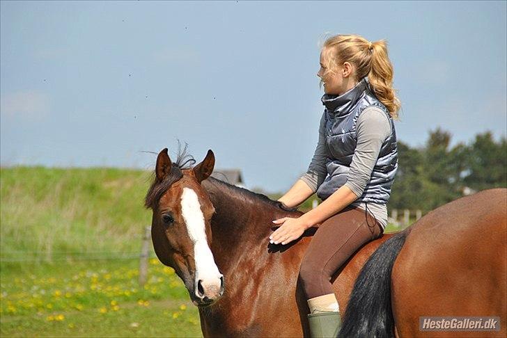 DSP La Rosa <3 - ingen kommentar billede 14