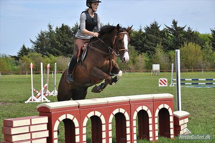 DSP La Rosa <3 - første gang jeg springer muren på lille La Rosa <3<3 hun var bare sååå sød<33<33 billede 16