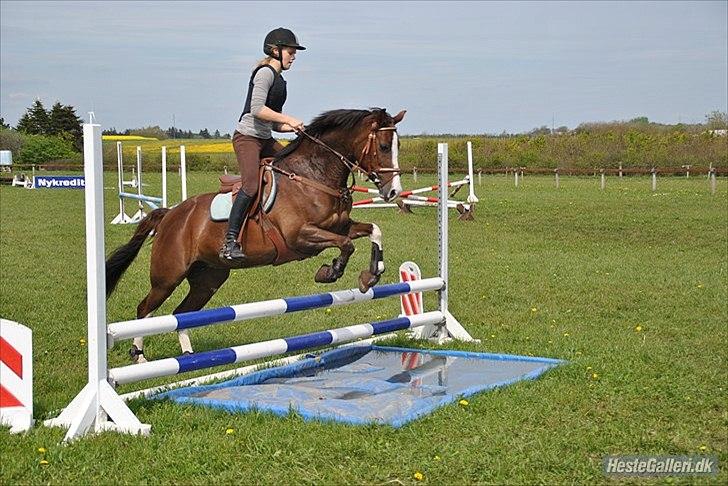 DSP La Rosa <3 - nuur lille skat<3 billede 18