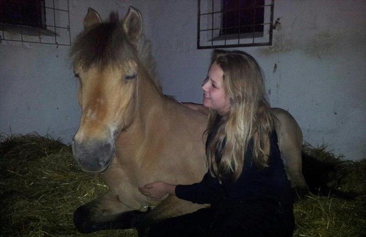 Anden særlig race Penny [Min eneste ene] - Jeg kom ud til hende kl 22.30 ca. fordi min papfar sagde at det lignede hun lagde ned! og jeg vil meget gerne ligge sammen med hende! :-D Det kom jeg så til :'-) Undskyld kvaliteten osv. det er taget med mobil.  billede 6