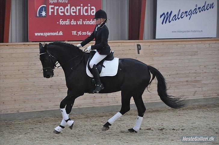 Dansk Varmblod Amy<3 Stjerne på himlen <3 - Dejlig galop:-)
Hvis du var en dråbe i havet, ville jeg svømme hele havet rundt for at finde dig<3 billede 16