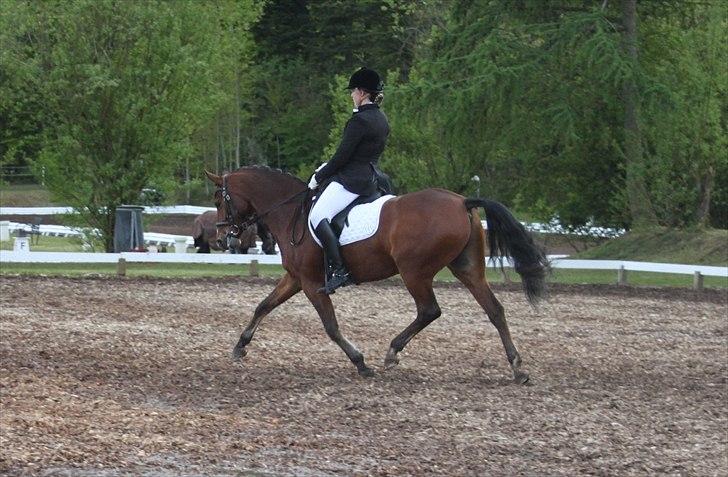 DSP Fontaine billede 2