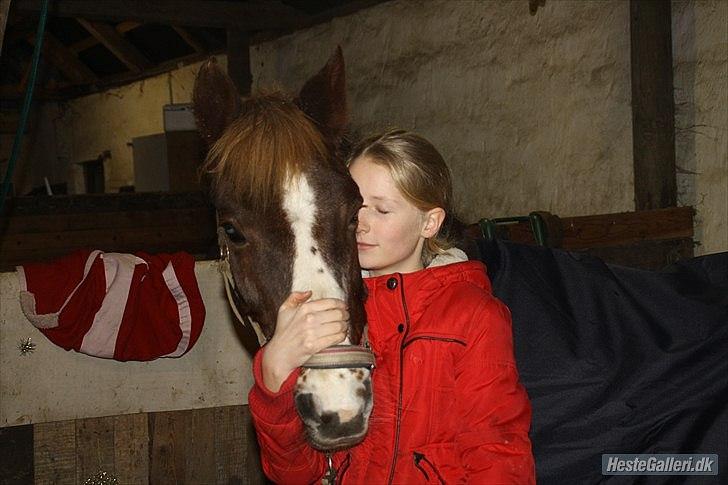 New Forest Sanchez | I miss you!<3 billede 20