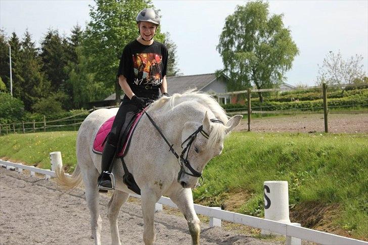 Dansk Varmblod Backersdal´s Lollipop [Min stjerne] - D. 19.05.12
Foto: N.T.M 
 billede 1