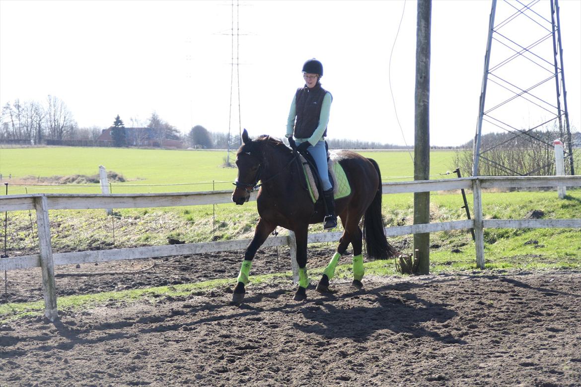 Traver Panic Hanover *guldklumpen* - Marts 2012 <3 billede 11