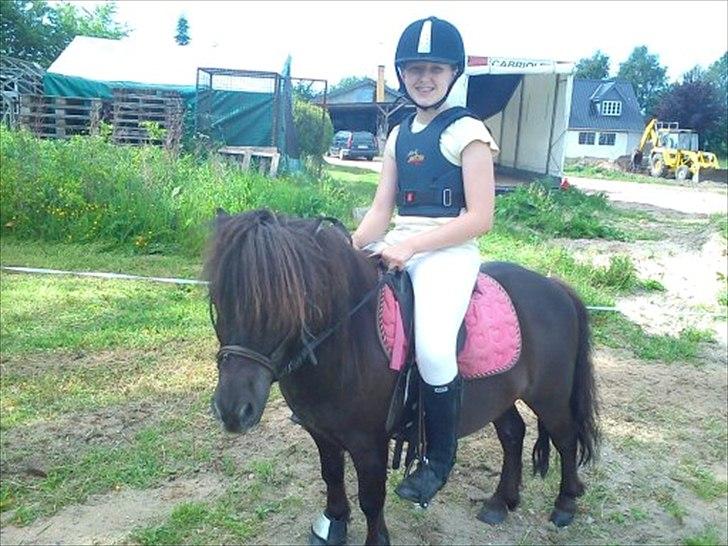 Shetlænder Malte (red) - Velkommen til Maltes profil<33

Endelig et billede hvor jeg rider<33

Foto: Josefine billede 1