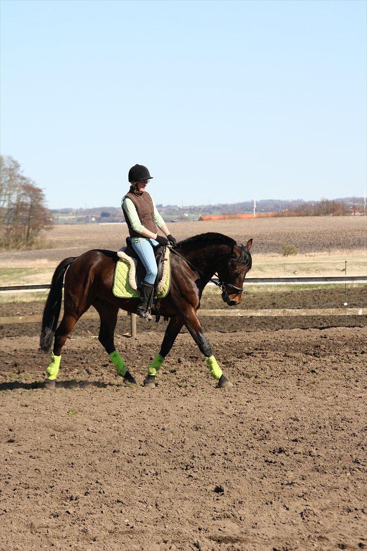 Traver Panic Hanover *guldklumpen* - Min lækre stjerne! <3 Marts 2012 billede 13