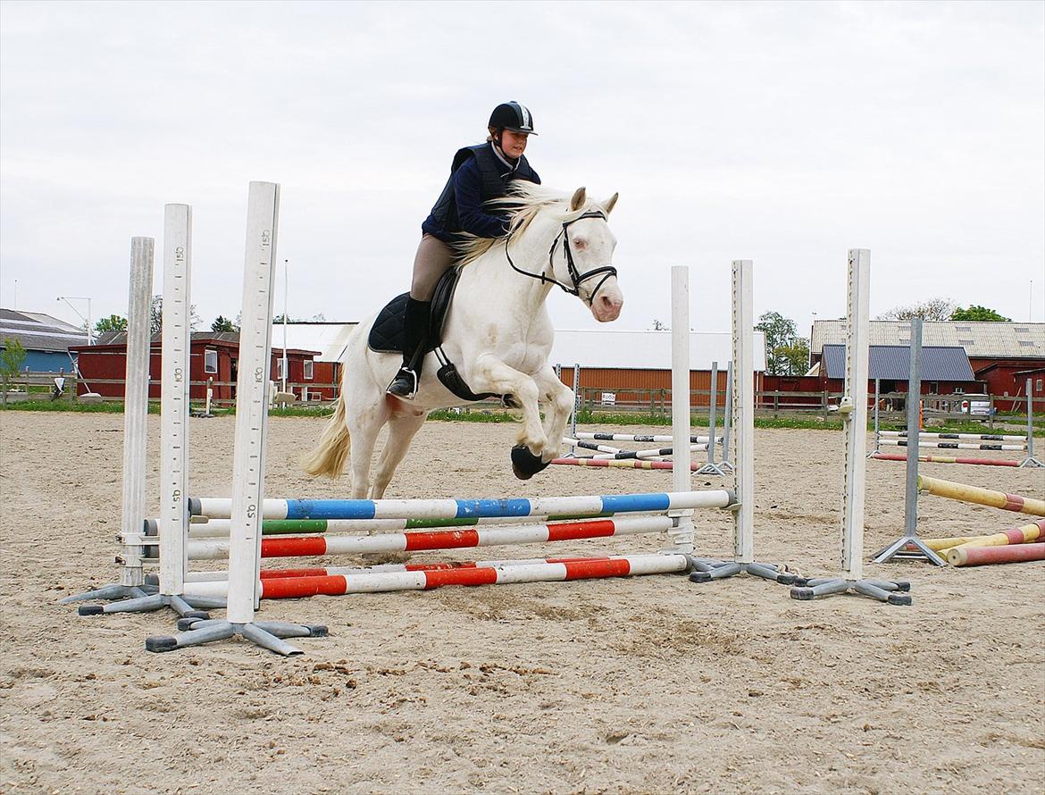 Connemara » Flying Dutchmann - 2012. Springtræning ! Triple bar på 50. :p ♥ billede 15
