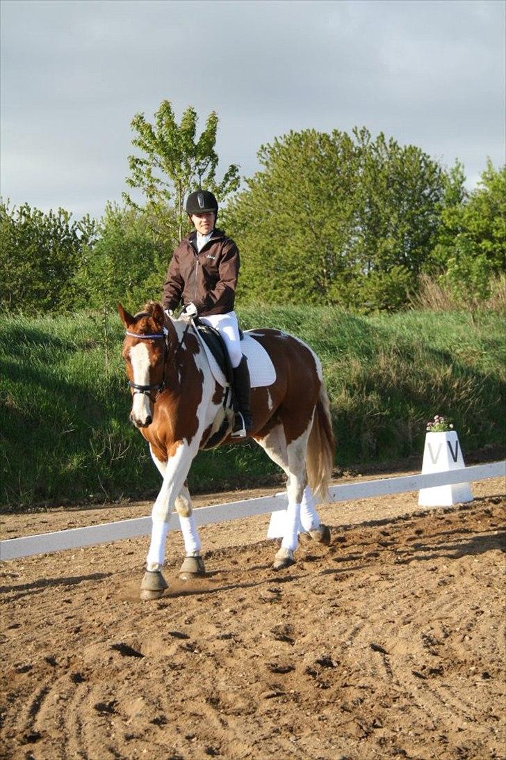 Pinto Casino Royal - Opvarmning i BOOR
13/5 -12 billede 17