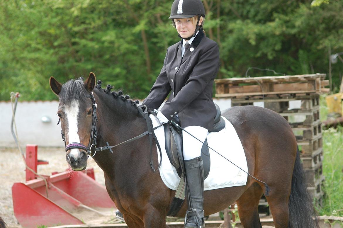 New Forest STELLA - Katrine og Stellas første stævne sammen og de red til 65 og 63 % er lidt stolt af dem :D  billede 5