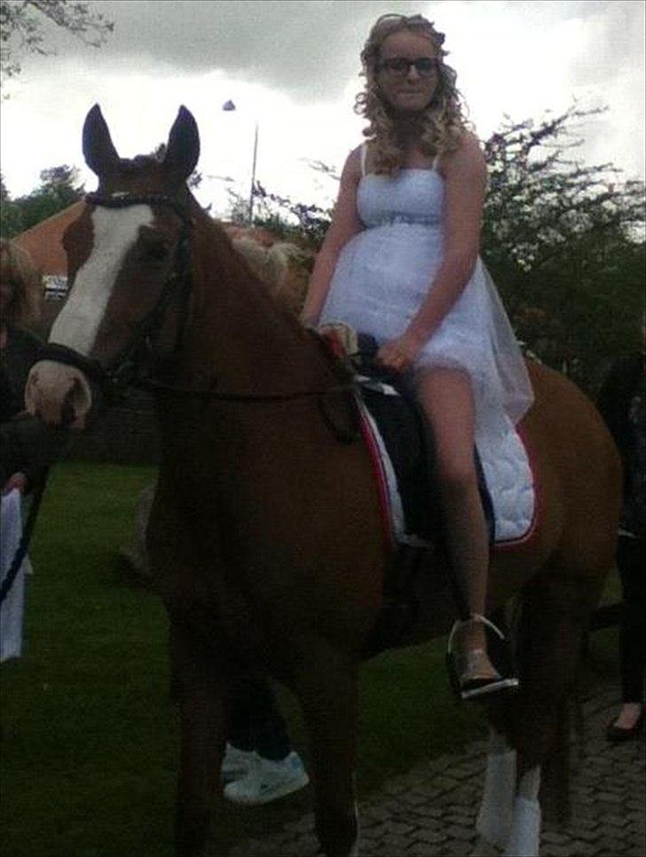 DSP • Times Chantel • B-pony - Sikke en overraskelse at få!!! Konfirmation 2012 <3 billede 17