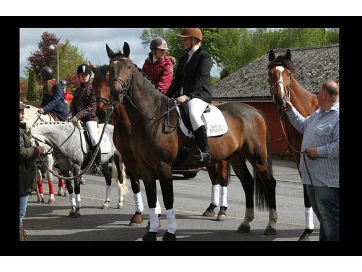 {{currentPhoto.altText}} billede {{currentPhoto.number}}