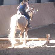 Haflinger Bailey (ejes af HDR)