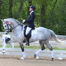 DSP MÅLUND'S MINI-MAJ