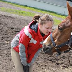 Anden særlig race Pyrus<3 
