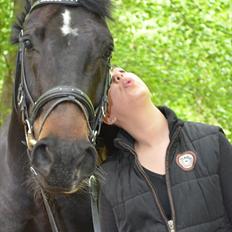 Hannoveraner Rushmore