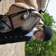 Fjordhest Florian Skovå