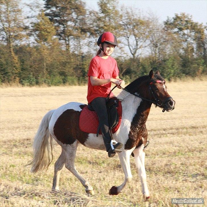 Anden særlig race Revy<3 - Savner dig i min hverdag<3<3 billede 3