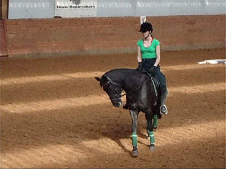 New Forest Hamborgs Bellis "Belle" **SOLGT** - Livet er ikke det det burde være uden dig. Sammen havde vi store drømme, og sammen kunne vi føre dem ud i virkeligheden, og blive blandt de bedste, men tiden løb fra os, dog var det stadig en helt igennem fantastisk tid med fantastiske og uforglemmelige m billede 15