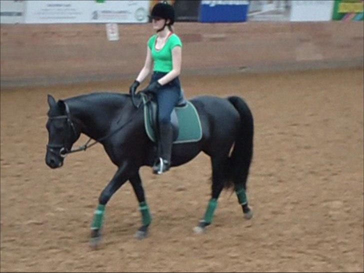 New Forest Hamborgs Bellis "Belle" **SOLGT** - sELV OM DU IKKE LØNGERE ER MIN, BETYDER DET IKKE AT JEG HOLDER MINDRE AF DIG.. TVÆRT I MOD JEG ELSKER OG SAVNER DIG, MEN VED DU NOK SKAL FÅ DET GODT.. billede 17
