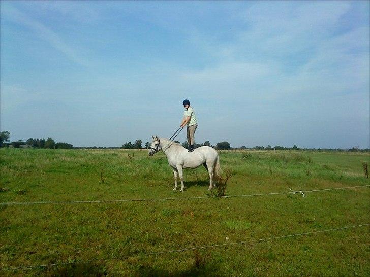 Connemara Birkely surprise  billede 14