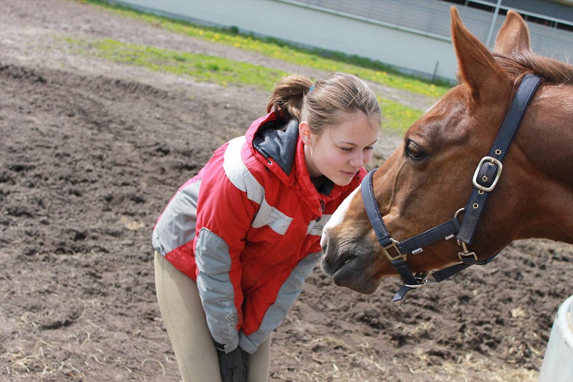 Anden særlig race Pyrus<3  - nuuurh kærlighed!<3 billede 1
