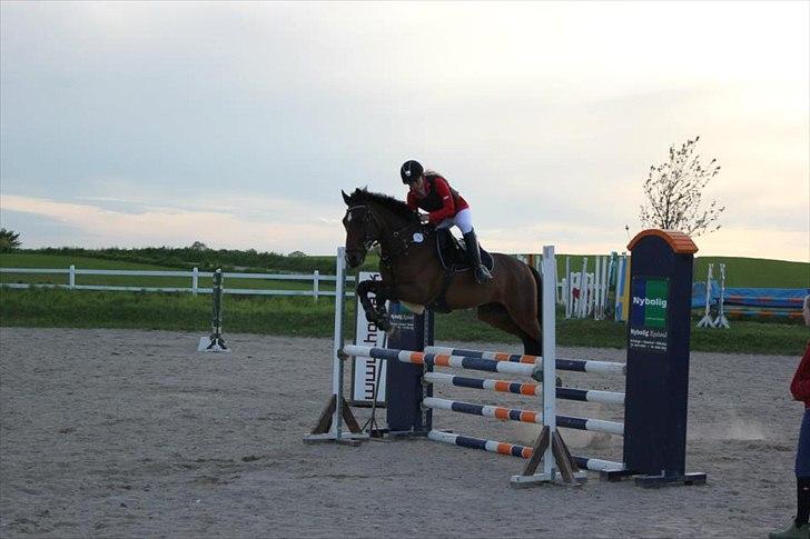 Anden særlig race Huntelaar - stævne d. 18 maj <3

foto: silche keriner billede 3