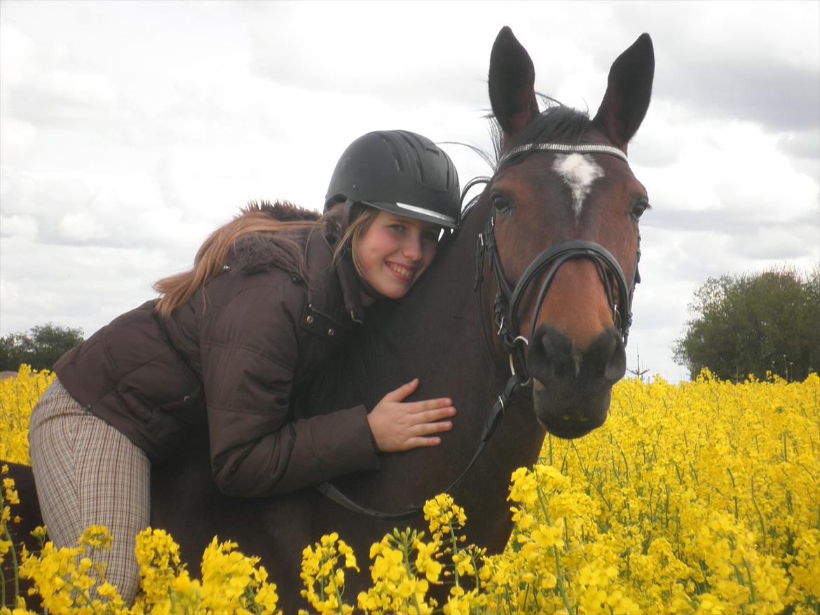 Dansk Varmblod Duelunds Lousenza (Baby) - Dig og mig mod hele verden ! :*
Jeg kan ikke beskrive hvor meget jeg elsker dig <3

13/5-2012 billede 4