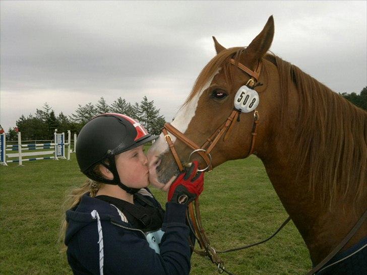 DSP Søborggårds Tippo*B-pony billede 8