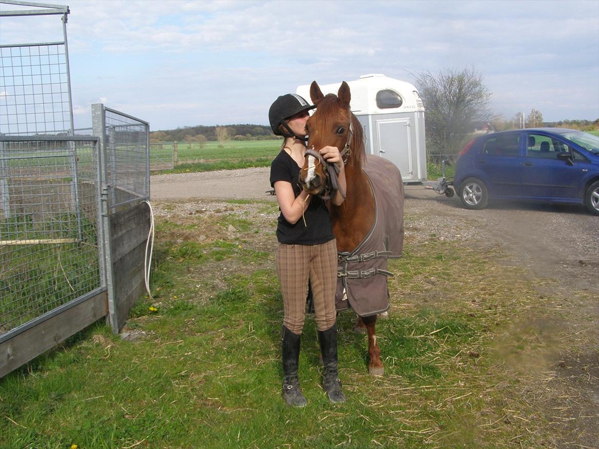 DSP Nørlunds Sacha - Det sidste kys, lige inden hun glev afleveret.......... billede 1