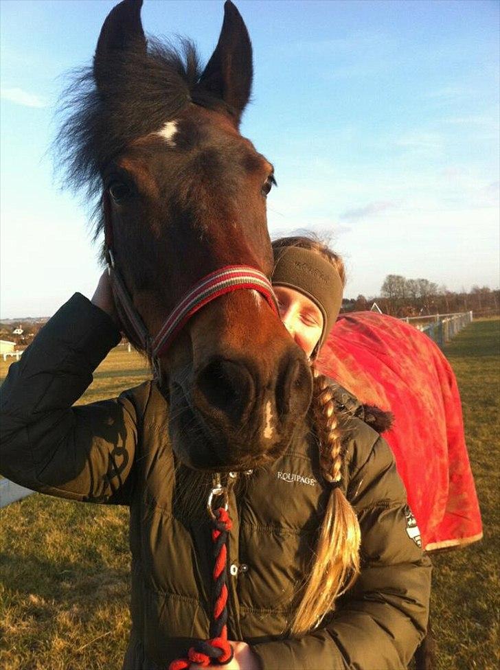 New Forest Langmarksgaards Nancerré - Lille Nance og mor elsker det her billed!<3 du er bare fantastisk nance:D 

Foto: Mathilde Krarup Jensen

Tak fordi  i kigget forbi<3 billede 11