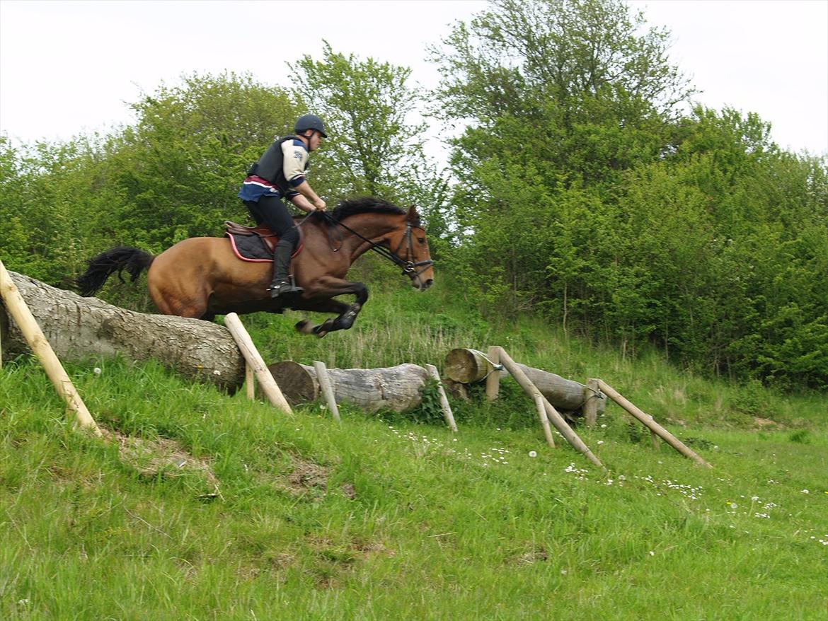 Holstener Trix Trax -Dejlige dreng, solgt... savnet- - 2 gang i terrænet :* billede 15