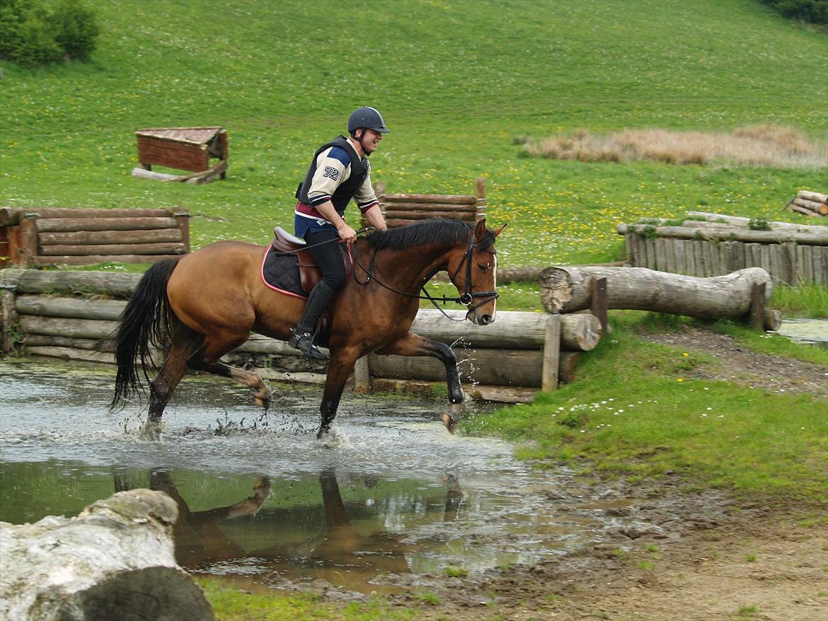 Holstener Trix Trax -Dejlige dreng, solgt... savnet- - 2 gang i terrænet :* billede 5